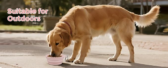 2-Pack Collapsible Dog Bowls for Large Breed, 22oz