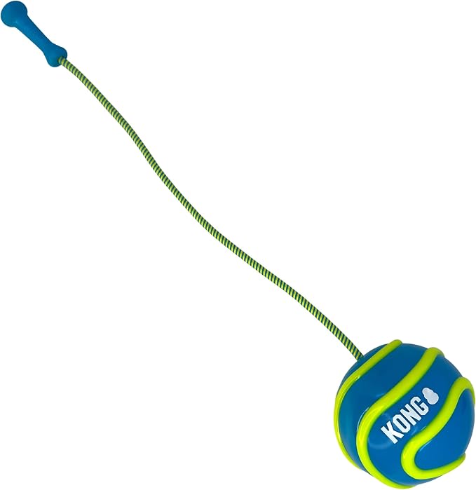KONG Bunji High-Viz Brightly Colored Glow in The Dark High Visibility Fetch and Retrieve Durable Bouncy Ball Assorted (Large)