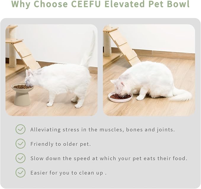 CEEFU Extra Wide Elevated Ceramic Cat Bowl, 6.2" Shallow Dish for Whisker Fatigue Relief, 5" Height for Easy Feeding, Durable Raised Cat Food Bowls, Pack of 2, Pottery Clay (Not Glazed)