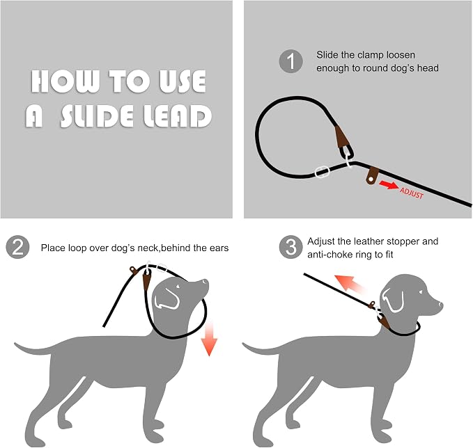 Fida Durable Slip Lead Dog Leash, 6 FT x 3/8" Heavy Duty Comfortable Strong Rope Slip Lead for Small Dogs and Puppies, No Pull Pet Training Leash with Highly Reflective(3/8", Green)