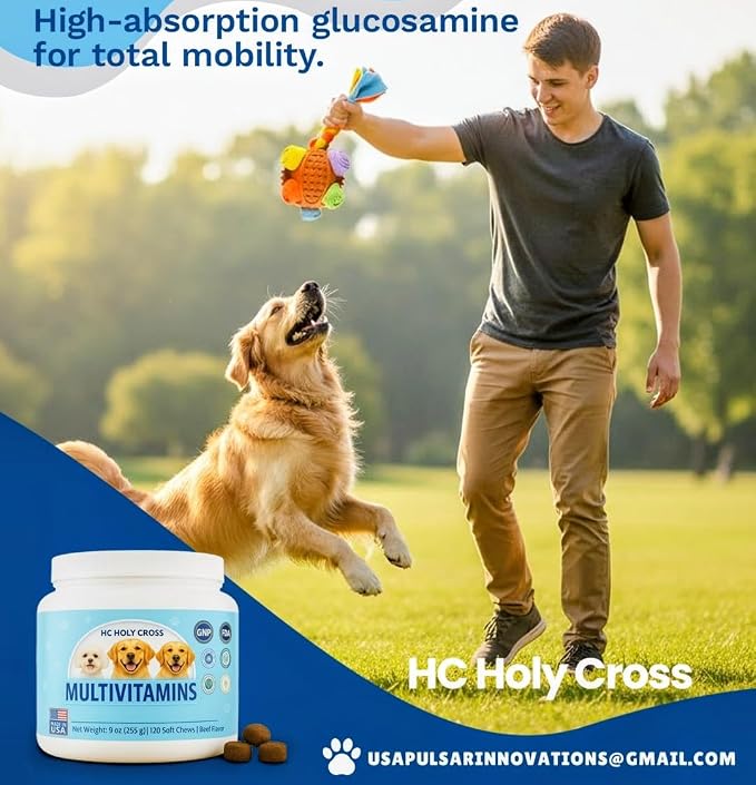 24-in-1 Dog Multivitamin Soft Chews for Dogs - Hip and Joint Supplement with Glucosamine, Chondroitin, Probiotics & Omega 3 - Immune Support, Skin & Coat Health - 120 Count - Beef Flavor