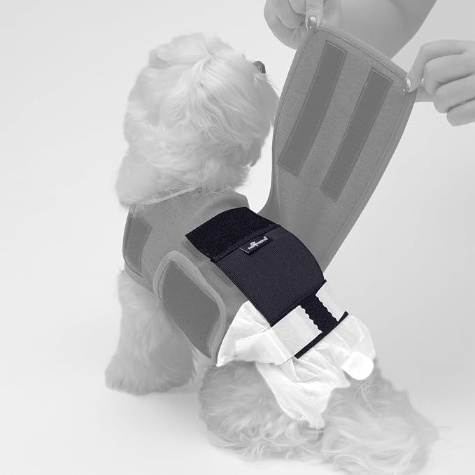 Paw Inspired Stay Put Dog Diaper Holder