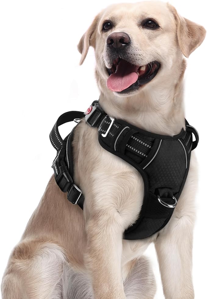 rabbitgoo Dog Harness Medium Sized, No Pull 3 Buckles Easy On & Off | Soft Padded, Walking with Control Handle, Adjustable and Reflective, Black, Medium