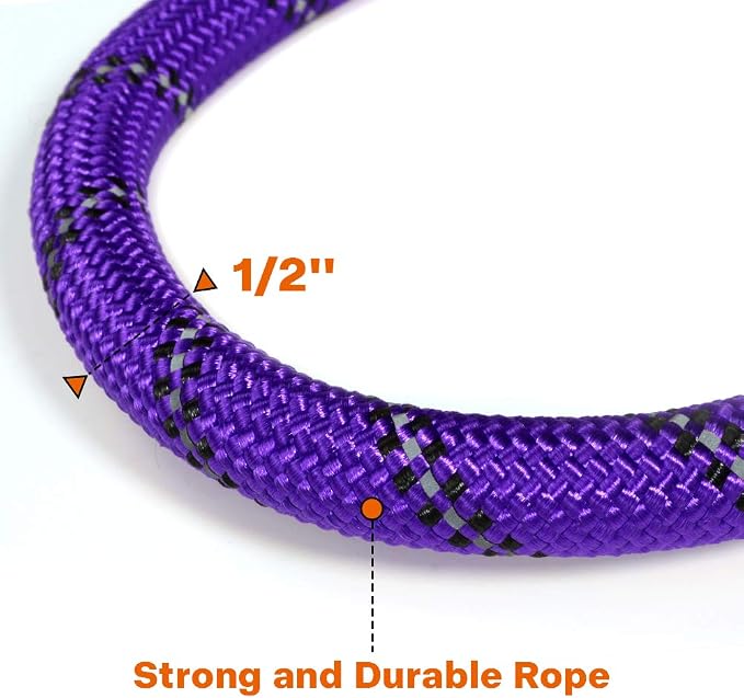 Taglory Rope Dog Leash for Medium Large Dogs, 5 FT Padded Handle, Purple | Climbing Rope for Strong Pullers, Reflective for Night Walks and Training, Comfortable Grip, Anti-tangle Swivel Clip 1/2 inch
