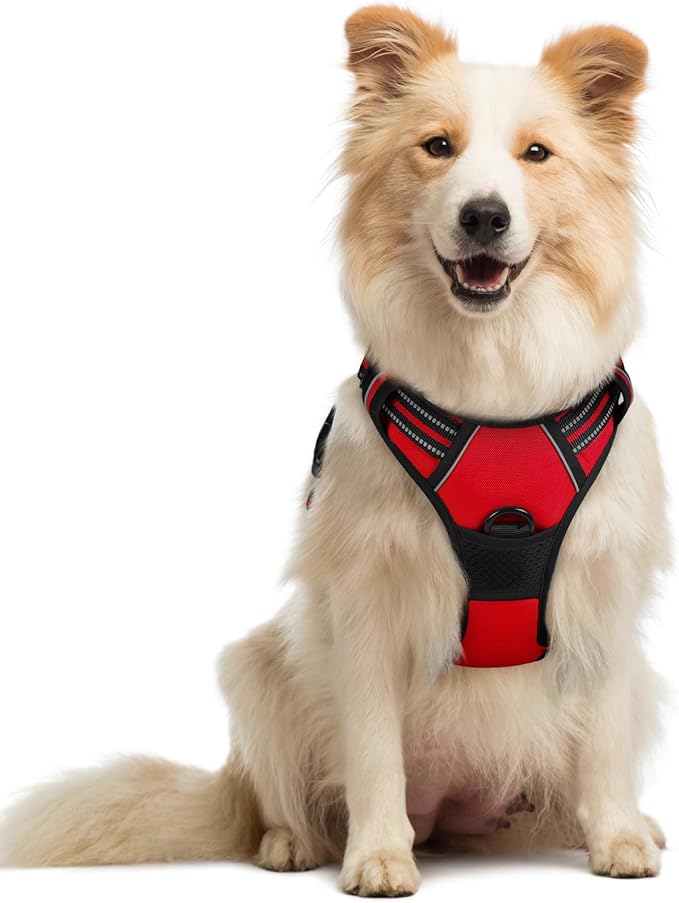 rabbitgoo Dog Harness, No Pull Medium Sized with 2 Leash Clips, Pet Vest | No Choke with Handle, Adjustable Soft Padded, Reflective, Easy Control for Walking, Red, Medium