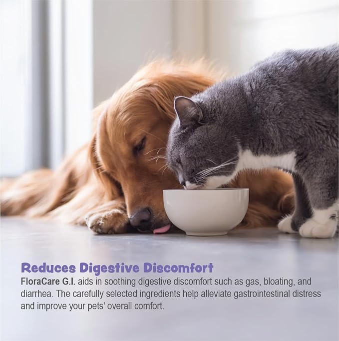 FloraCare GI Digestive Paste for Dogs & Cats – Helps Diarrhea, Upset Stomach & Occasional Gastric Distress – Gut Health Support with Easy Oral Syringe – Veterinarian Recommended Digestive Aid – 60cc