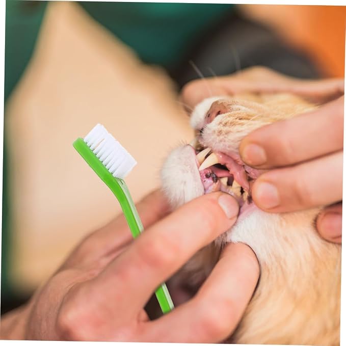 POPETPOP 12Pcs Dual Head Pet Toothbrush Handheld Dog Oral Cleaning Brushes with Soft Bristles for Gentle Care Non Slip Handle for Comfortable Use for Daily Pet