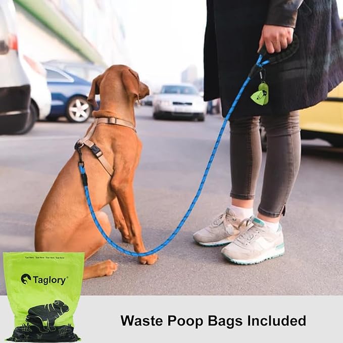 Taglory Rope Dog Leash for Small Medium Dogs, 6 FT Padded Handle, Blue | Made of Climbing Rope, Reflective for Night Walks and Training, Comfortable Grip, Anti-tangle Swivel Clip, 3/8 inch