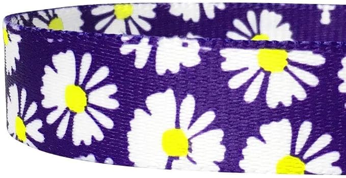 Blueberry Pet 2 Pattern Loving Daisy Prints Dog Leash with Soft & Comfortable Handle, 4 ft x 1", Large, Leashes for Dogs