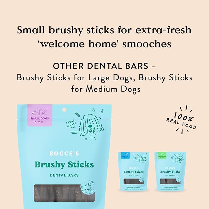 Bocce's Bakery Dental Brushy Sticks for Small Dogs – Natural, Wheat-Free Dental Bars to Support Oral Health & Fresh Breath, Made with Real Ingredients – Coconut & Mint Recipe (2 Pack Bundle)