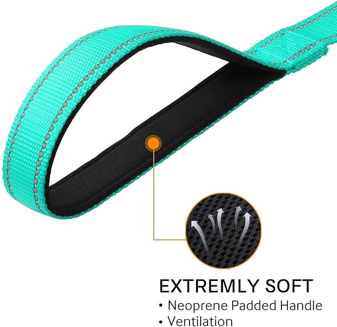 Joytale 12-16 inches Dog Collar and 6FT Leash, Reflective Soft Neoprene Padded Pet Collars and Leashes for Small Dog