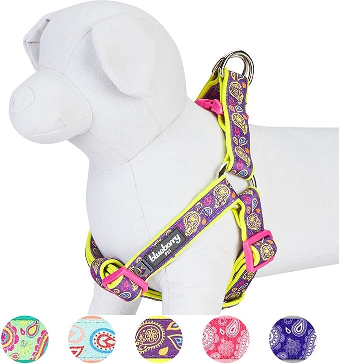 Blueberry Pet 5 Colors Soft & Comfy Step-in Paisley Flower Print Dog Harness, Chest Girth 20" - 26", Dark Orchid, Medium, Adjustable Harnesses for Dogs