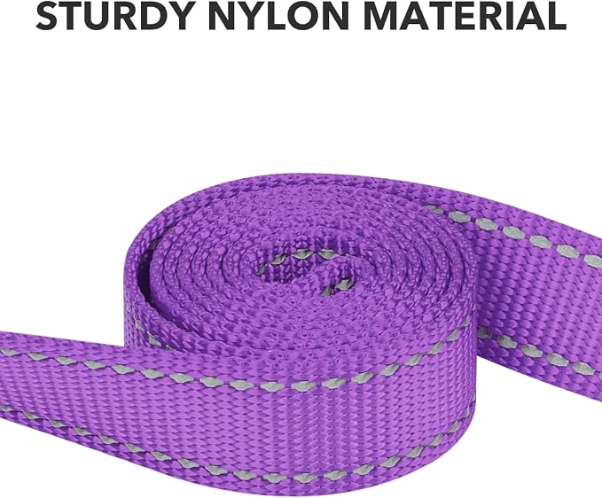 Taglory Reflective Dog Leash for Small Dogs, 3/4in x 5ft, Purple | Ideal for Night Walking, Strong for Sudden Pulls, Lightweight & Gentle on the Neck, Soft Padded Handle