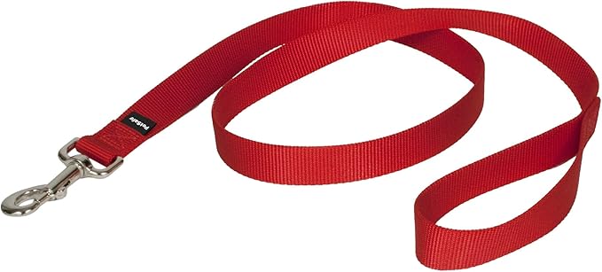 PetSafe Nylon Dog Leash - Strong, Durable, Traditional Style Leash with Easy to Use Bolt Snap - 1 in. x 4 ft., Red | Durable Nylon Leash with Easy on/off Bolt Snap Hook, Pairs Perfectly with Easy Walk Harness and Gentle Leader Headcollar