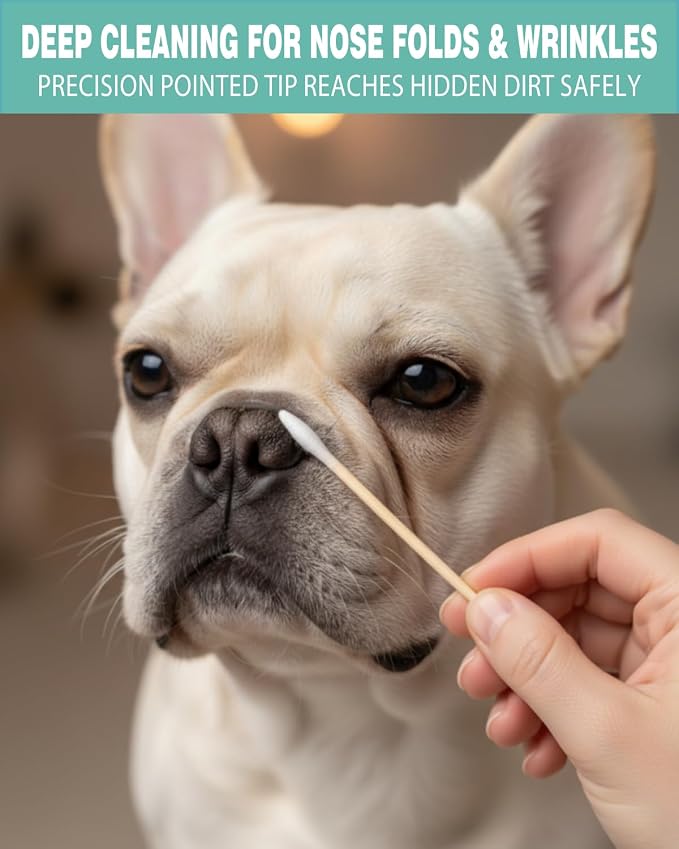 Pointed Cotton Swabs 6 Inch 400 Count – Precision Tapered Wooden Cotton Buds for Gun Cleaning, Makeup Correction & Dog Ear Care | Extra Long Lint Free Applicators