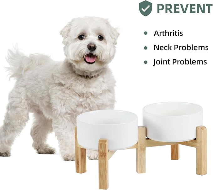 Havniva 6.1” Dog Bowls Elevated Ceramic Dog Food and Water Bowl Set, Double Raised Dog Water Bowl with Stand Non-Slip Rubber Base Two Heights Large Capacity Pet Food Bowl for Small & Medium Dogs