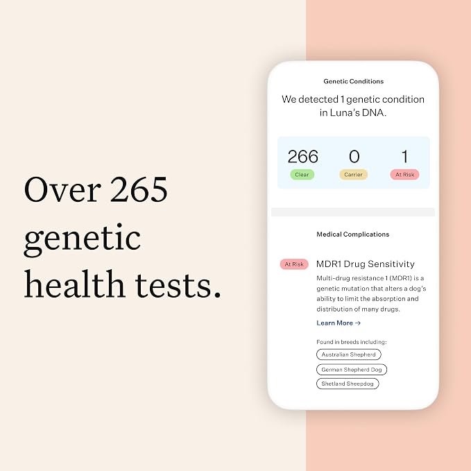 Wisdom Panel Premium DNA Test Kit, 1-Pack