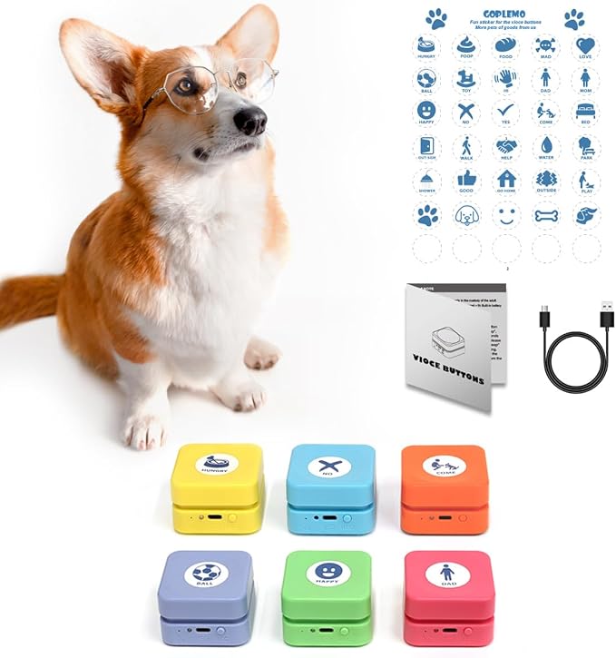 Rechargeable Dog Buttons Starter Pack, 6 Counts