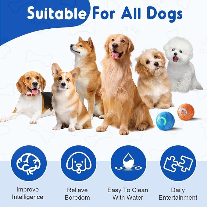 Teamoda Dog Ball 2Pcs, 2025 Interactive Dog Toys for Small and Large Dogs, USB Rechargeable Durable Motion Activated Automatic Rolling Ball Toys (Blue)