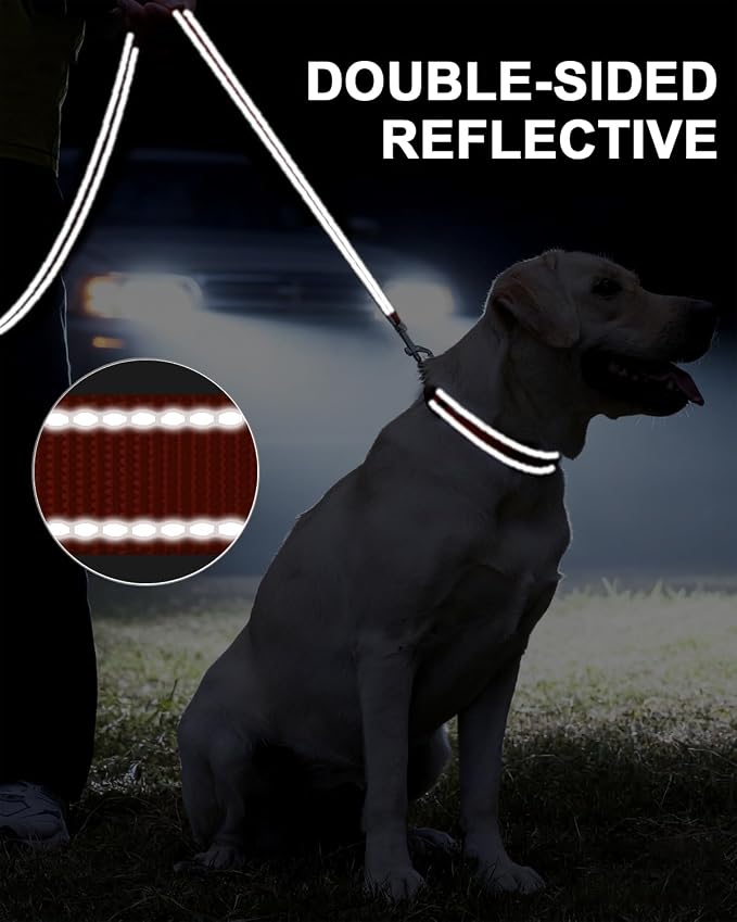 Taglory Reflective Dog Leash for Medium Large Dogs, 1in x 6ft, Orange | Ideal for Night Walking, Strong for Sudden Pulls, Lightweight & Gentle on the Neck, Soft Padded Handle