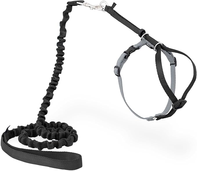 PetSafe Come With Me Kitty Harness and Bungee Leash, Harness for Cats, Medium, Black/Silver, CWMK-M-BLK | Adjustable 2-Point Fit Applies Gentle Pressure to Shoulders, Not Neck, for Small & Average Cats with 10.5 in - 14 in Girth