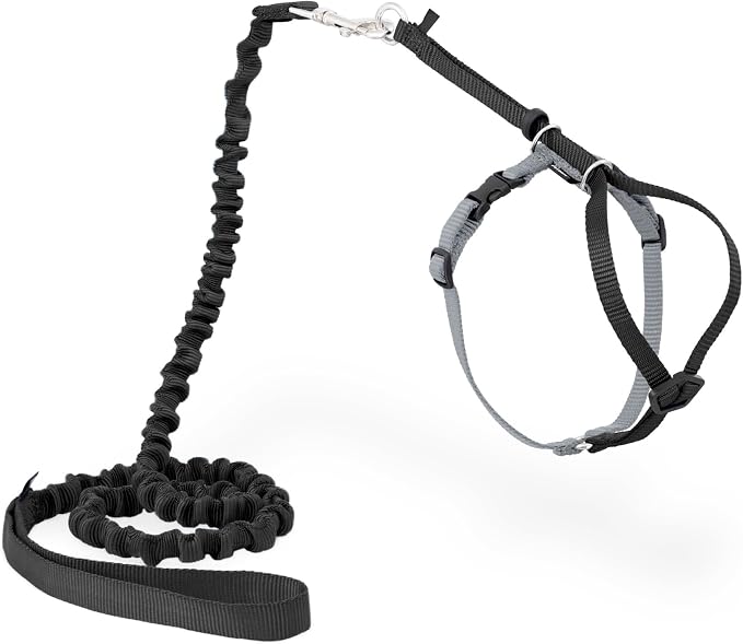 PetSafe Come with Me Kitty Harness and Bungee Cat Leash, Black, Small | Adjustable 2-Point Fit Applies Gentle Pressure to Shoulders, Not Neck, for Kittens and Small Cats with 9 in - 11 in Girth
