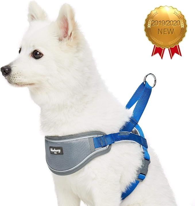 Blueberry Pet Dog Harness Medium Sized Dog - Reflective Dog Vest with 3M Strips, Neoprene Padded, Easy Control for Large Dogs, Small Dog Harness, Adjustable Navy Training Vest, 20.5-26" Girth