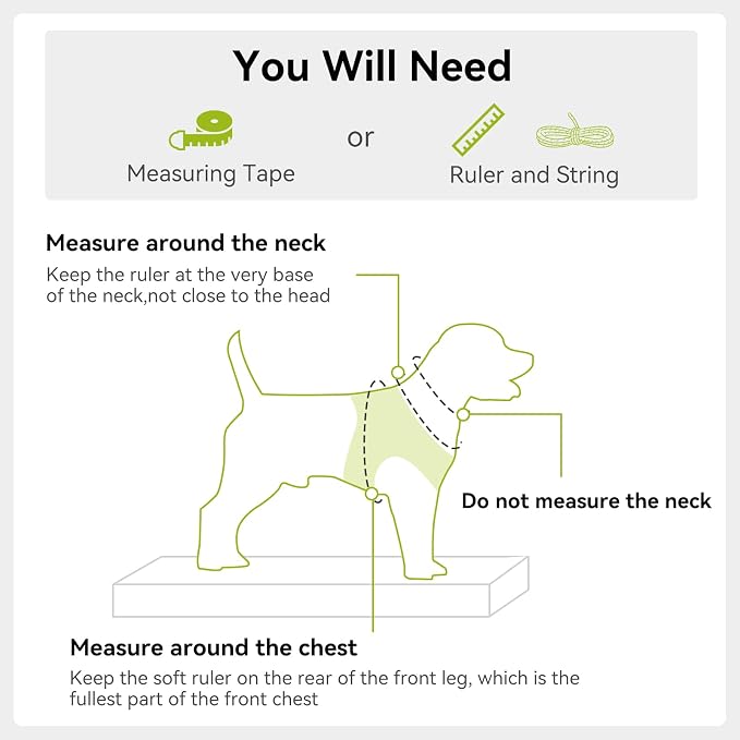 Joytale Step-in Dog Harness, Soft Breathable Mesh, Green XL | Adjustable Fit for Small Dogs, Easy Step-in with Secure Fastener, Even Chest Pressure, Reflective For Night Safety, Washable