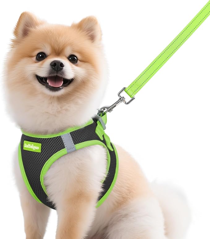 rabbitgoo Dog Harness Small Sized and Leash Set, Step in Soft Vest | Breathable Mesh, Easy Wear with Hook & Loop, Light and Reflective for Walking, Multi-colored, Black & Green, M
