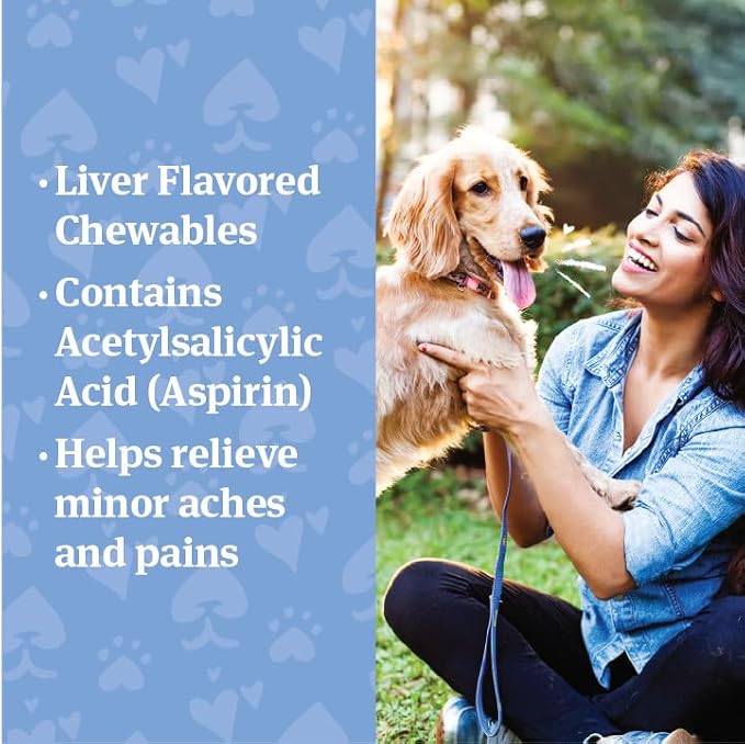 PetArmor Aspirin for Large Dogs, Fast Acting Anti-Inflammatory and Pain Relief For Dogs, Vet-Quality Joint Support and Pain Meds for Dogs, 120 Liver Flavored Tablets