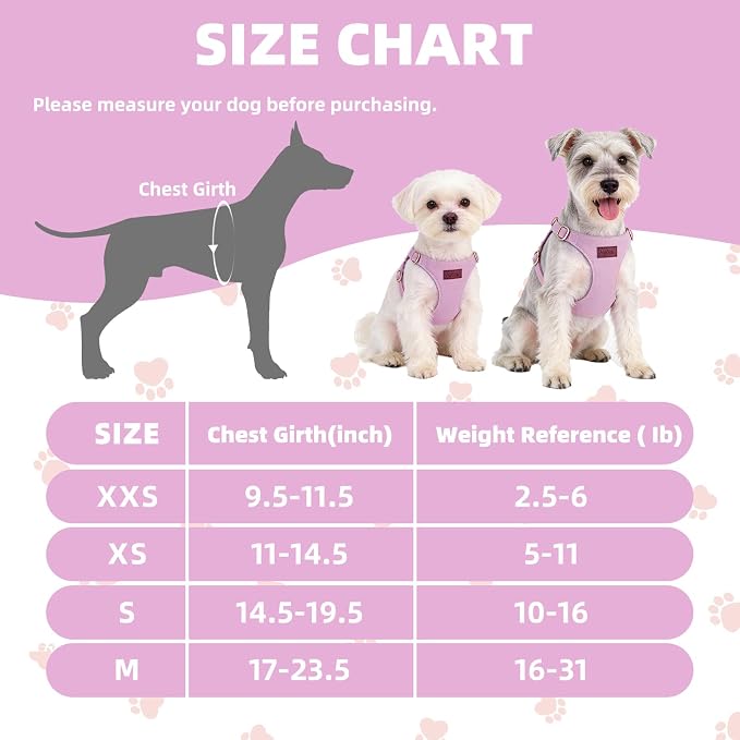 PUPTECK Dog Harness and Leash Set Small Sized, Lightweight Step-in Puppy Harness, Escape Proof No Pull Cute Pet Vest Harnesses, Purple XXS