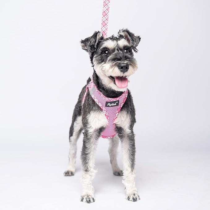 PUPTECK Dog Harness and Leash Set for Small Medium Dogs No Pull Step-in Soft Mesh Puppy Cat Vest Harnesses Reflective at Night, Pink M