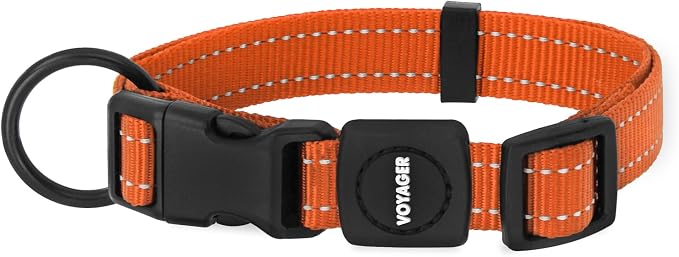 Best Pet Supplies Voyager Reflective Dog Leash or Collar with Neoprene Handle, for Small, Medium, and Large Breed Puppies, Cute and Heavy Duty for Walking, Running and Training - Orange, M