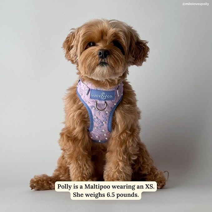Lucy & Co. Magnificent Mermaids Pearl No-Pull Dog Harness, Adjustable Front Clip Harness with Comfort Padding, Large