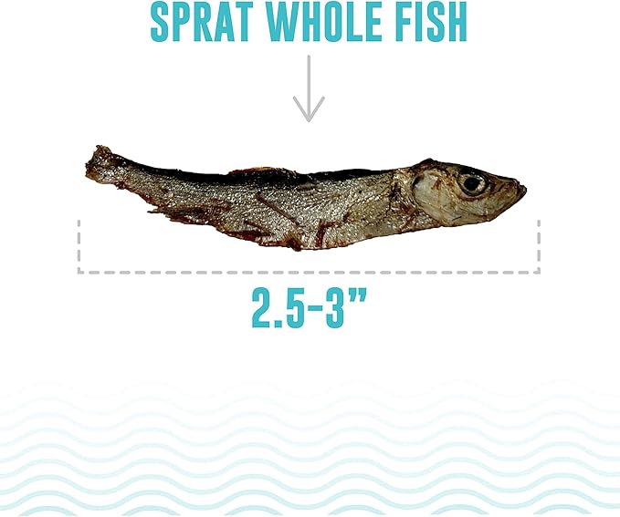 Icelandic+ 2oz Wild-Caught Whole Fish Sprat - Crunchy Air-Dried Dog Treats