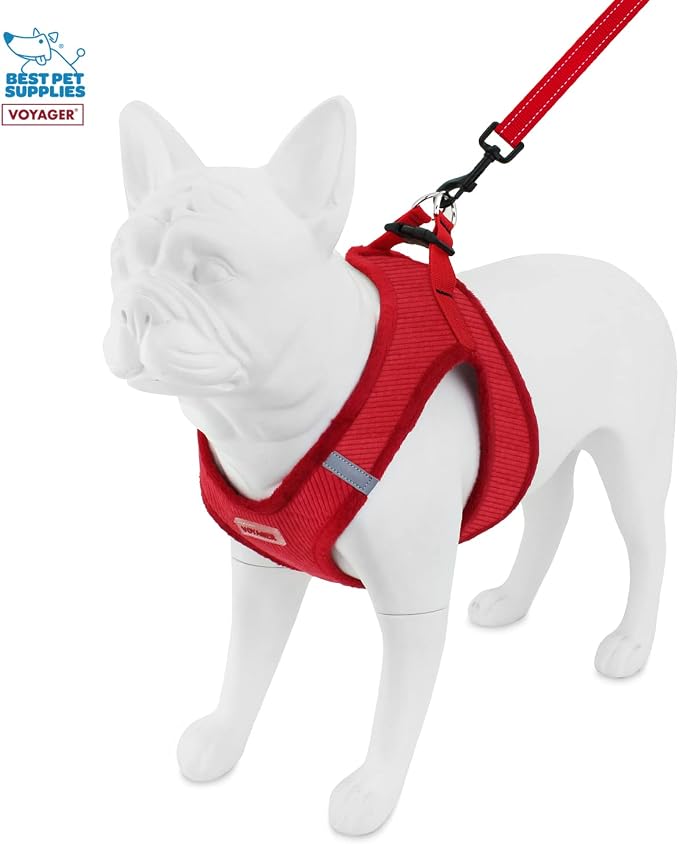 Voyager Step-in Plush Dog Harness – Soft Plush, Step in Vest Harness for Small and Medium Dogs by Best Pet Supplies - Red Corduroy (Leash Bundle), S (Chest: 14.5-16") (Pack of 2)