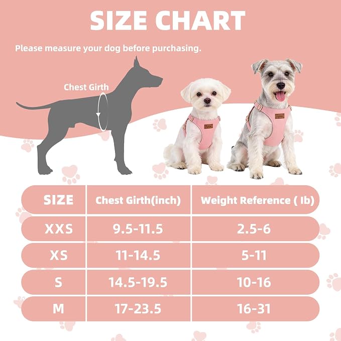 PUPTECK Dog Harness and Leash Set Small Sized, Lightweight Step-in Puppy Harness, Escape Proof No Pull Cute Pet Vest Harnesses, Pink M