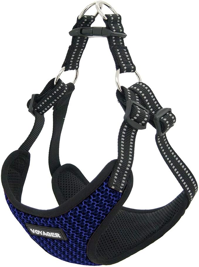 Voyager Step-in Flex Adjustable Dog Harness - Baby Blue, X-Large | 23 - 28" in Chest, Fully Adjustable, Reflective Bands, All Weather Breathable Air Mesh, Lightweight, Fast Drying