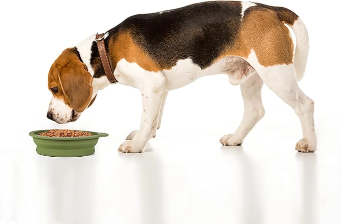SLSON Collapsible Dog Bowl, 2 Pack, 600ml, Navy Blue & Dark Green