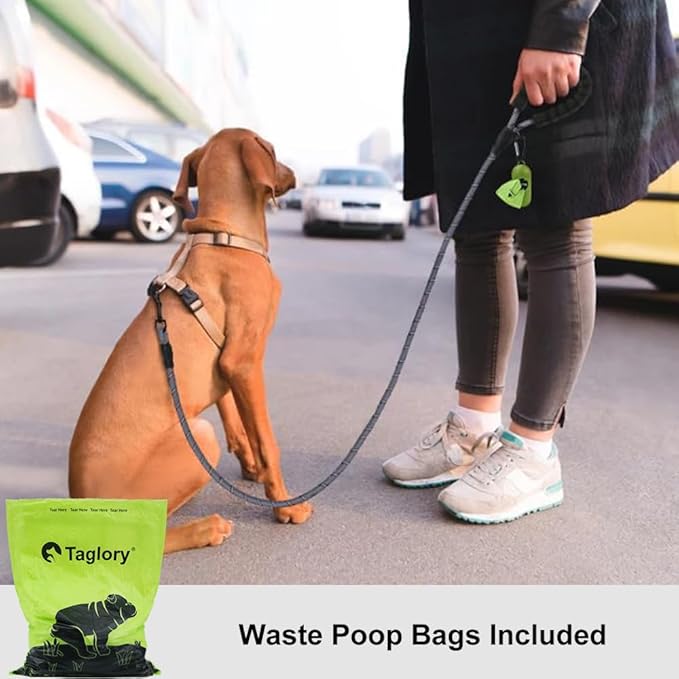 Taglory Rope Dog Leash for Small Medium Dogs, 6 FT Padded Handle, Grey | Made of Climbing Rope, Reflective for Night Walks and Training, Comfortable Grip, Anti-tangle Swivel Clip, 3/8 inch