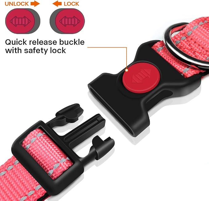 Taglory 10"-16" Dog Collar and 6 FT Dog Leash Set, Highly Reflective Threads Dog Leash, Adjustable Reflective Dog Collar with Safety Locking Buckle for Small Dogs