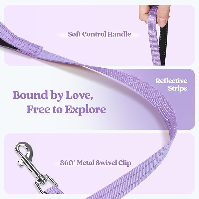 rabbitgoo Dog Harness Medium Sized and Leash Set, Step-in Puppy Pet Vest | Light, Soft, Breathable Air Mesh, Easy on and Remove with Hook & Loop, Secure Reflective for Walking, Light Purple XXL