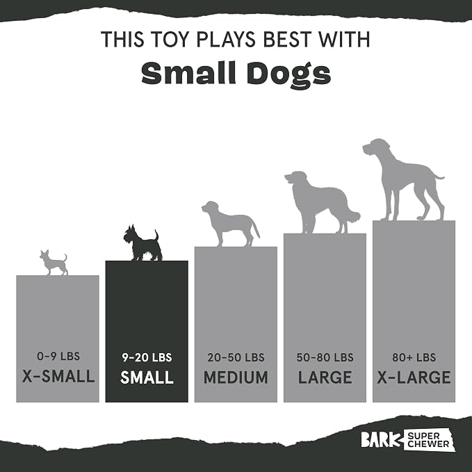 BarkBox Coral Teef Dog Toy | Wacky Bounce | Dog Toy for Aggressive Chewers