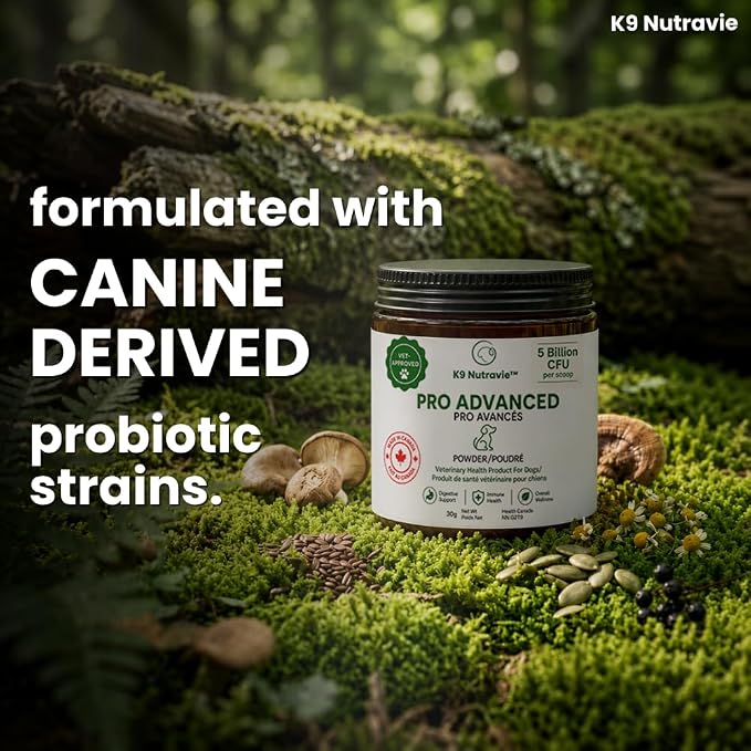 Dog Probiotic Powder for Digestive Support | 5 Billion CFU | Gut Health & Immunity Support | Mix-in Powder | 60g | Unflavoured (60g)