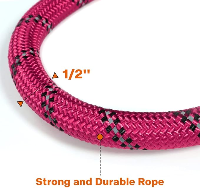 Taglory Rope Dog Leash for Medium Large Dogs, 5 FT Padded Handle, Hotpink | Climbing Rope for Strong Pullers, Reflective for Night Walks and Training, Comfortable Grip, Anti-tangle Swivel Clip 1/2 inch