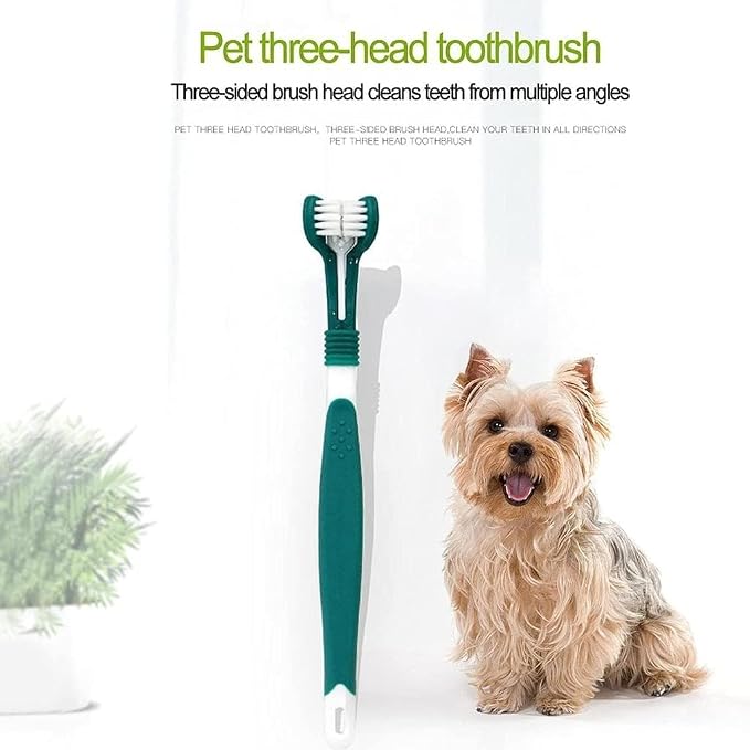 Green Dog Toothbrush, Triple Headed Toothbrush Dog Toothbrush for Pet, Pet Supplies