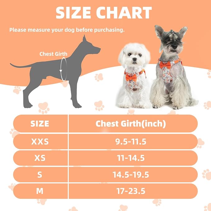 PUPTECK Dog Harness and Leash Set Small Sized, Lightweight Step-in Puppy Harness, Escape Proof No Pull Cute Pet Vest Harnesses, Flower Orange M