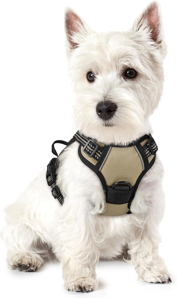 rabbitgoo Dog Harness No Pull with 2 Leash Clips, Adjustable Soft Padded, Reflective Oxford No Choke Pet Vest with Easy Control Handle for Puppy, Beige, XS | No Choke with Handle, Adjustable Soft Padded, Reflective, Easy Control for Walking, Beige, X-S...