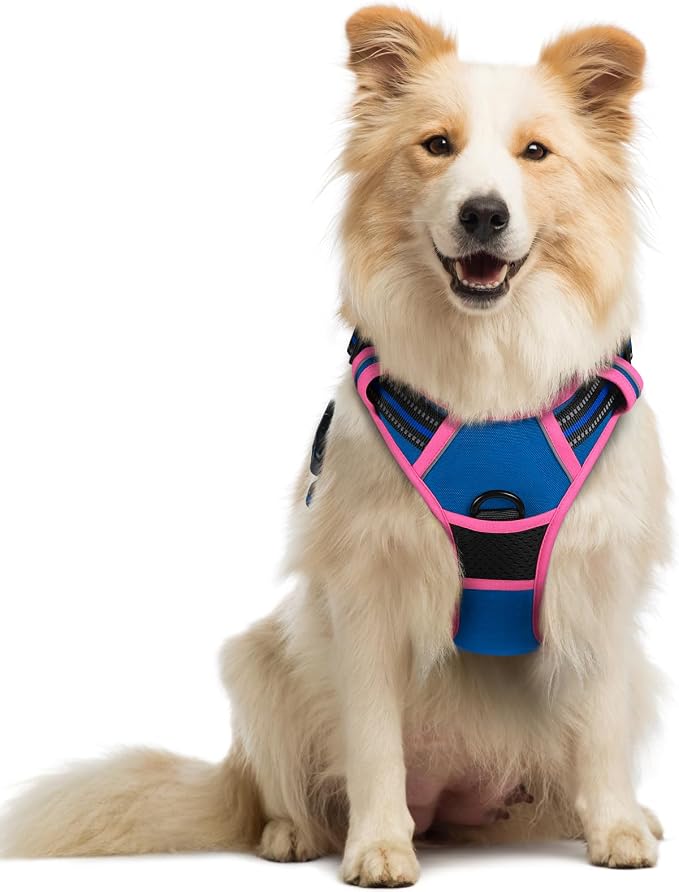 rabbitgoo Dog Harness, No Pull Medium Sized with 2 Leash Clips, Pet Vest | No Choke with Handle, Adjustable Soft Padded, Reflective, Easy Control for Walking, Blue & Hot Pink, Medium