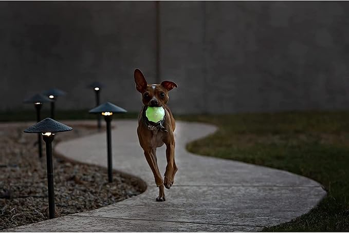 Jolly Pets Jolly Jumper Bouncing Treat Dog Ball, 4 in Large, Orange | High, erratic-bounce treat ball with gum-massaging nodules - bright, easy-to-spot orange